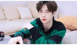 吃瓜娱乐爆料王一博,瓜田里的青春偶像，娱乐风暴中的璀璨星光