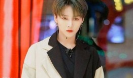 娱乐大爆料 刘雨昕小说,刘雨昕小说中的璀璨星途